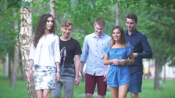Viisi ihmistä - nuoria ystäviä kävelemässä kesäpuistossa
 - Materiaali, video