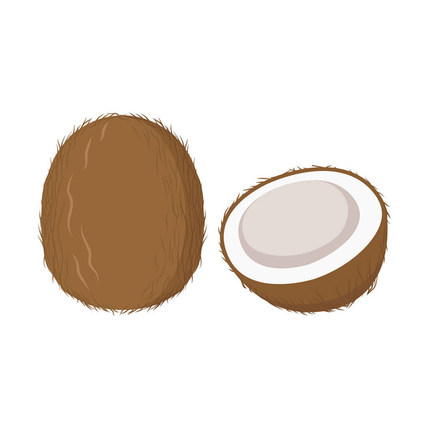 Coconut with leaf vector icon. Coconut icon clipart. Sliced coconut cartoon. - Vector, Image