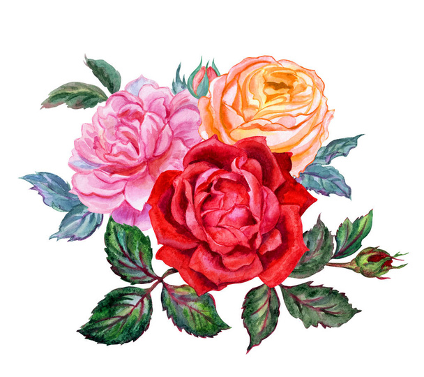Bouquet of roses, watercolor drawing on white background, isolated. - Valokuva, kuva