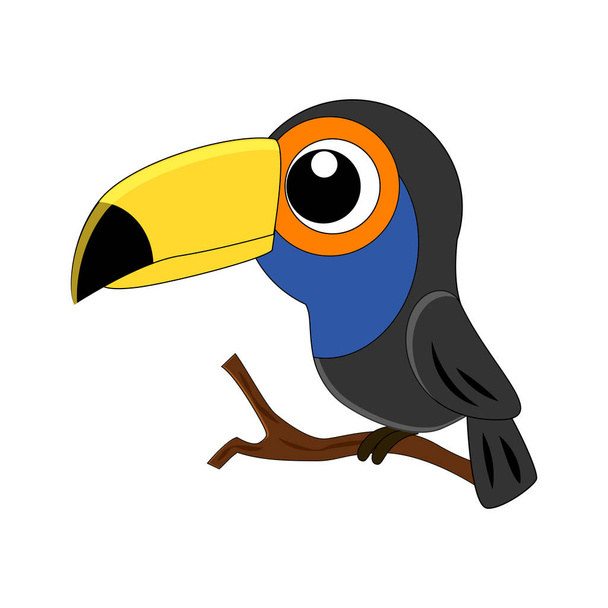 Cute cartoon toucan vector illustration isolated on white backgr - Вектор,изображение