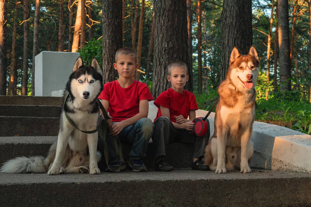 Two cute boys with dogs siberian husky sit on the steps stone staircase in summer city park in warm rays setting sun. - Foto, imagen