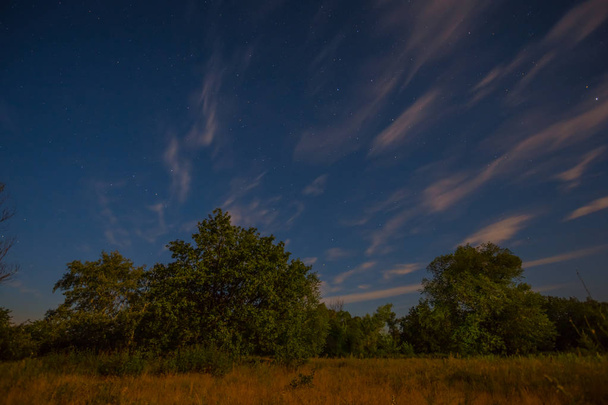 night scene, forest glade under starry sky with clouds - Zdjęcie, obraz
