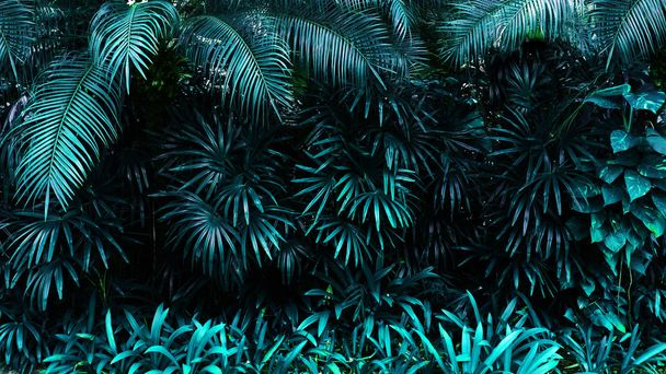 bosque de hojas tropicales brillan en el fondo oscuro. Alto contraste. - Foto, Imagen