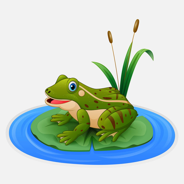 Zelená žába sedí na listí v jezírku - Vektor, obrázek