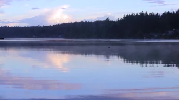 panning over foggy lake - Footage, Video