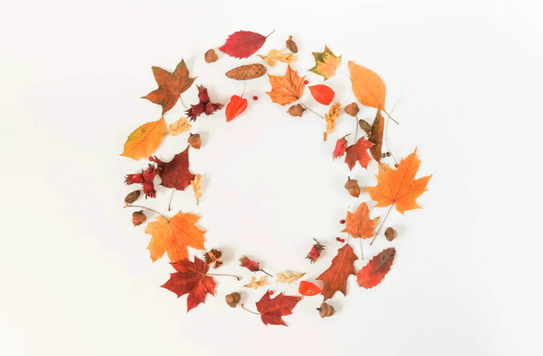 Autumn composition background. Frame wreath pattern made of autumn tree leaves on white background. Top view. Copy space. Flat lay - Photo, Image