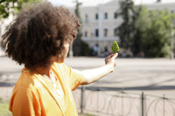 Curly-haired young woman holding tree model - Фото, зображення