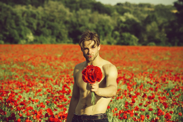 Man with flowers. guy with muscular body and athletic torso hold flower bouquet in field of red poppy seed with green stem on sunny natural background, summer, drug and love intoxication, opium - Photo, image