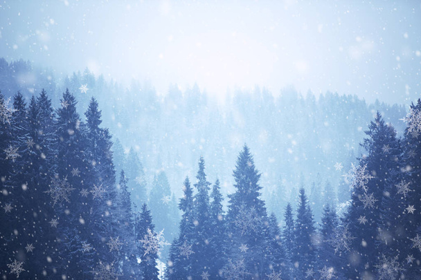 Зимний горный пейзаж с хвойными деревьями и снегопадом
 - Фото, изображение