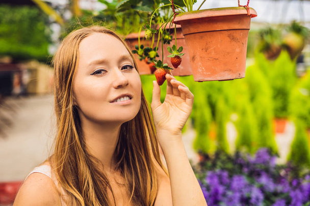 Happy young woman collecting fresh strawberries in garden - Valokuva, kuva