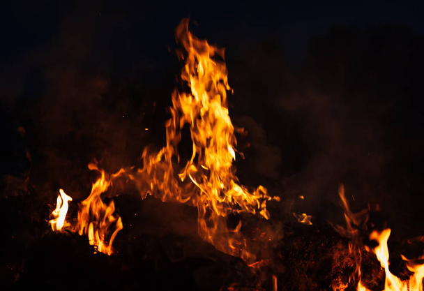 Yangın, şenlik ateşi, kamp ateşi. Gece şenlik ateşi alevleri. Siyah bir zemin üzerine alevler ateş - Fotoğraf, Görsel