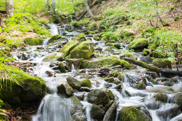 Um córrego em uma floresta montesa flui através de cascatas de pedras
. - Foto, Imagem