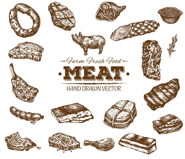 Collection of hand drawn meat sketch, black and white vintage illustration - Vector, Image