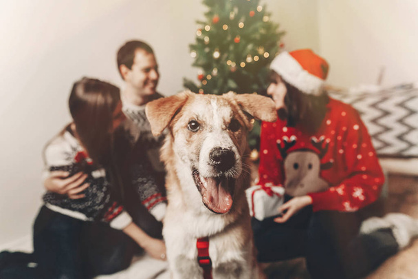 famille heureuse en chandails élégants et chien drôle mignon célébrant à l'arbre de Noël avec des lumières. moments émotionnels. joyeux Noël et heureux nouveau concept année. espace pour le texte
 - Photo, image