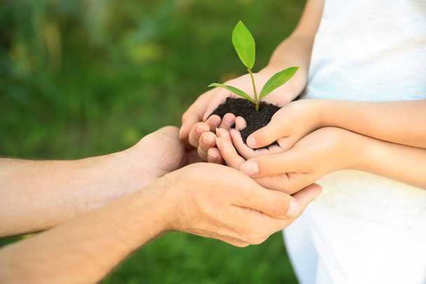 Family holding soil with green plant in hands on blurred background - Fotoğraf, Görsel