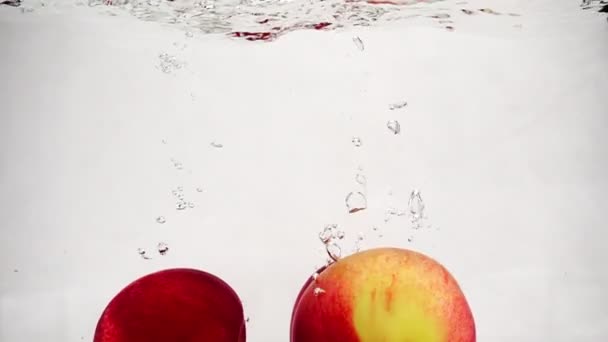 Video al rallentatore di mela rossa che cade in acqua con le bolle. Frutta su fondo bianco isolato
. - Filmati, video