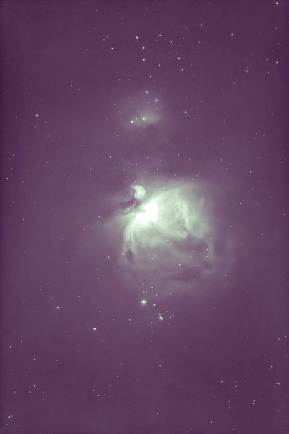 望遠鏡で撮影したオリオン大星雲 - 写真・画像