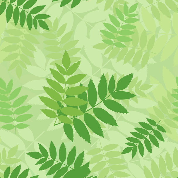 nahtloses Muster mit grünen Ebereschenblättern. Vektorillustration. - Vektor, Bild