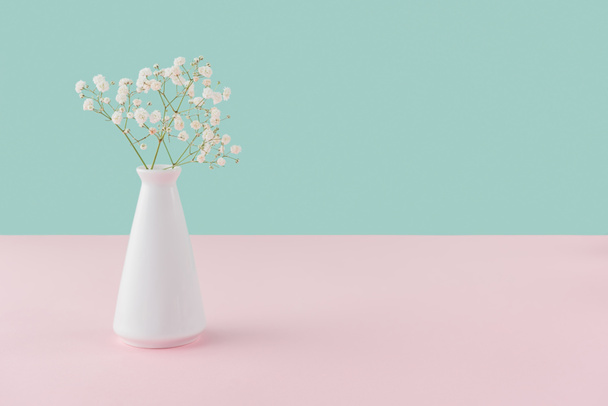 vase with white tender flowers on pink and turquoise with copy space - Photo, Image