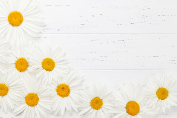 Λουλούδια Κήπος χαμομήλι σε άσπρο φόντο ξύλινη. Το Top view με αντίγραφο χώρου - Φωτογραφία, εικόνα
