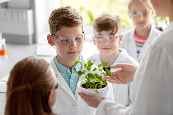 estudiantes y profesor con planta en clase de biología
 - Foto, imagen