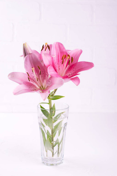 Rama con lirios rosados y hojas verdes en un vaso de agua, sobre fondo blanco
. - Foto, imagen