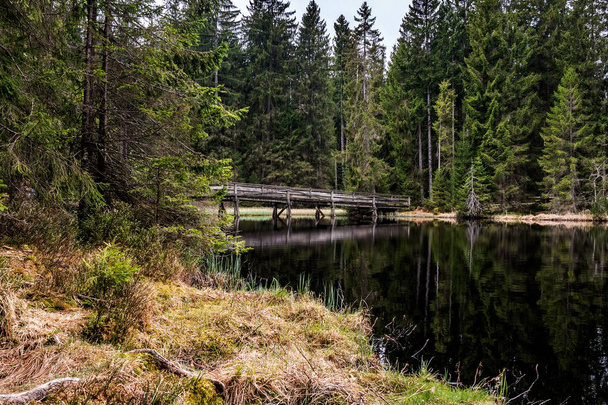 木の反射の間の湖の上の木製の橋 - 写真・画像