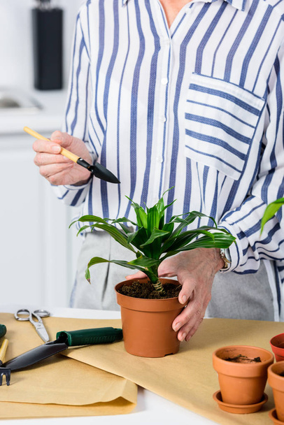 cropped shot of senior woman cultivating potted plant - Zdjęcie, obraz