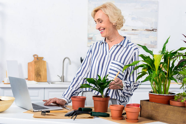 mosolygó vezető nő használ laptop és ápolása cserepes növények otthon - Fotó, kép