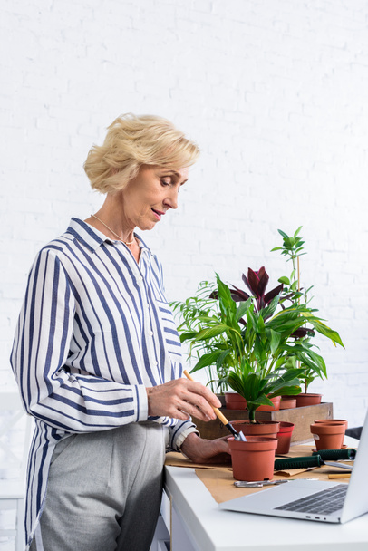 χαμογελώντας ανώτερων γυναίκα καλλιεργούν φυτά σε γλάστρες και να χρησιμοποιείτε φορητό υπολογιστή στο σπίτι - Φωτογραφία, εικόνα