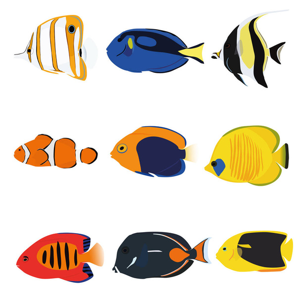 Trooppisia kaloja sarja sisältää yhdeksän kalaa: Kupariangerkala, Sininen Tang, Moonrish Idol, Klovni, Flameback Angelfish, Naamioitu Angelfish, Liekki Angelfish, Akhilleus Tang, Rock Beauty Angelfish
. - Vektori, kuva