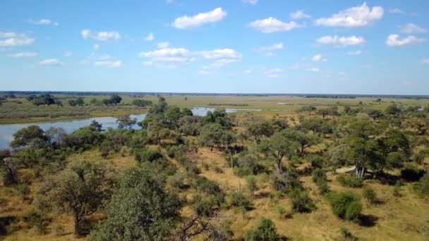 Afrikanische Flusslandschaft in Nambwa Namibia - Filmmaterial, Video