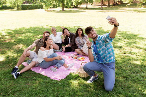friends taking selfie by smartphone at picnic - Foto, Imagem