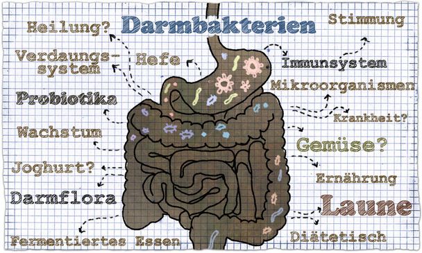 Ilustración sobre las bacterias intestinales
 - Foto, Imagen