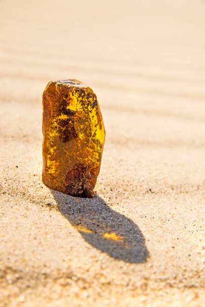 Amber in sun on a beach of the Baltic sea - Photo, Image