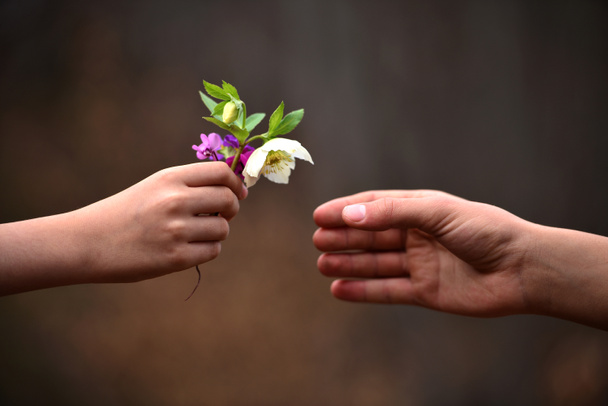 mano del niño dando flores a su padre
 - Foto, Imagen