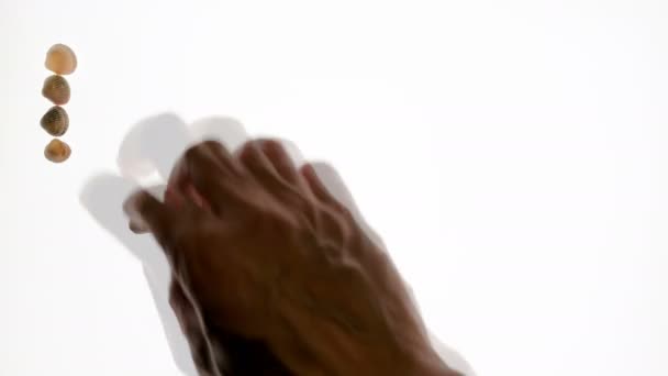 Zeitraffer. bewegt die männliche Hand die Muscheln auf weißem Hintergrund und erhält das Wort "Letzter". isoliert. - Filmmaterial, Video
