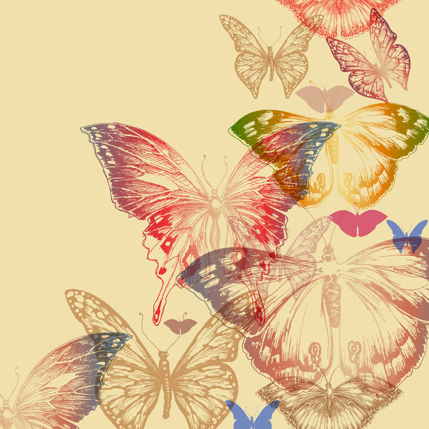 Colorful butterfly retro background - Vecteur, image