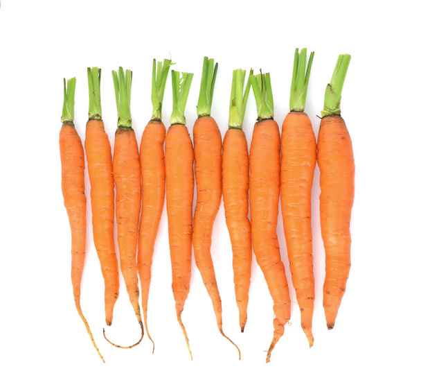 морковь на белом фоне - Фото, изображение