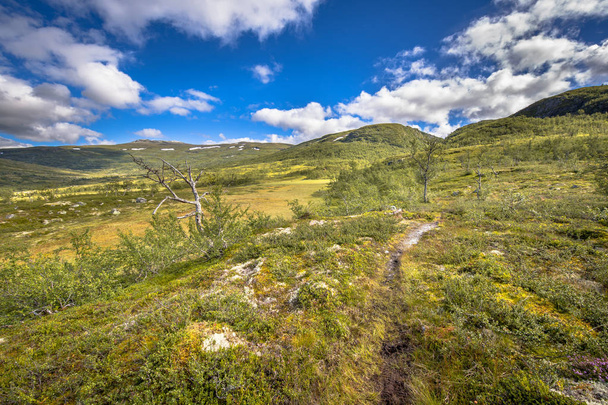 Pěší stezka Vysočině národní park Hardangervidda turistické sítě - Fotografie, Obrázek
