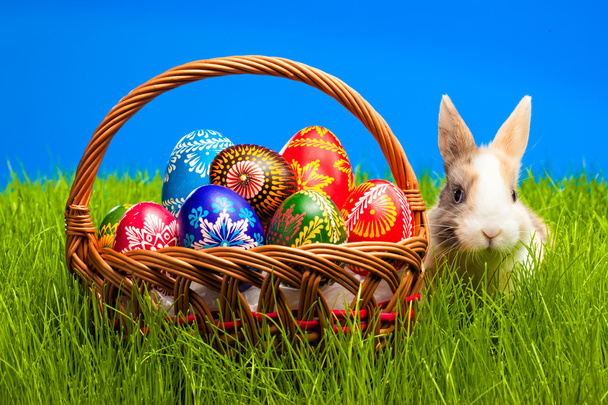 Uovo di Pasqua e coniglietto nel cestino
 - Foto, immagini