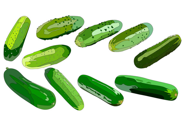 een set van 10 beelden van komkommers in verschillende soorten en maten - Vector, afbeelding