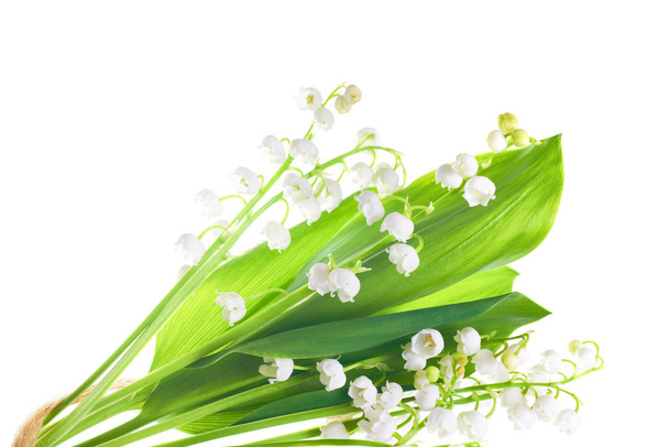 Λευκά λουλούδια κρίνα της κοιλάδας απομονωμένα σε λευκό φόντο - Φωτογραφία, εικόνα