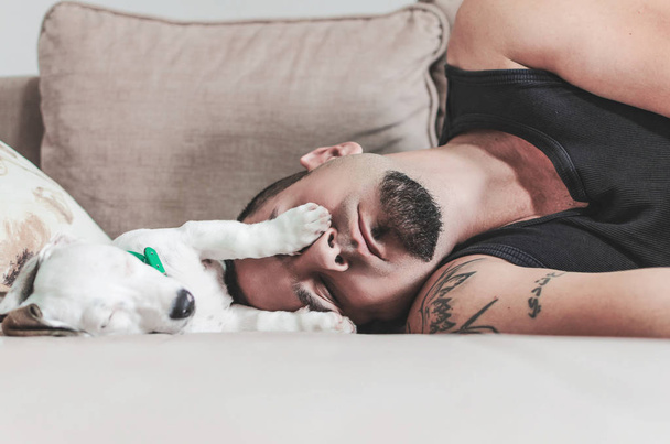 Jack Russel taking a nap with his owner on sofa - Fotografie, Obrázek