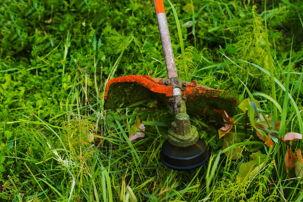 mowing grass lawn mower close-up - Photo, Image