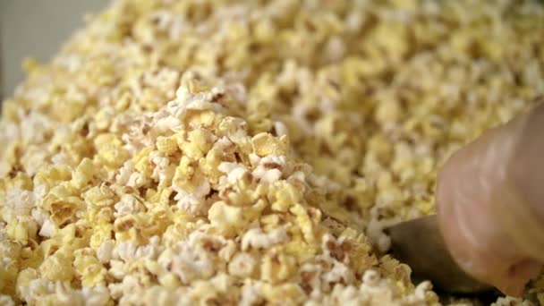 Popcorn-Hintergrund. Prozess der Trocknung von Popcorn nach der Herstellung - Filmmaterial, Video