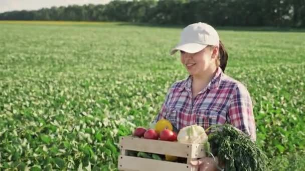 Farmer holding fresh vegetables in a wooden box - Footage, Video