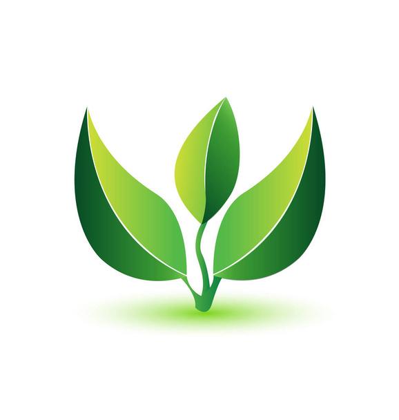 Foglie verdi logo vegetale sano
 - Vettoriali, immagini