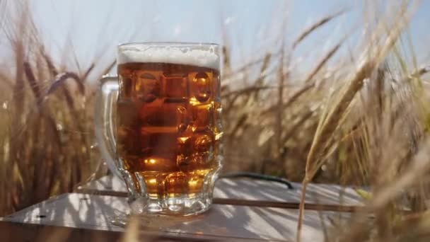 Un bicchiere di birra fredda si trova su una scatola di legno nel campo
 - Filmati, video