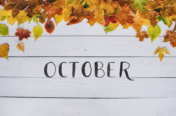 October handwritten modern calligraphy on colorful autumn dry leaves border frame on white painted rustic barn wood blanks background. Horizontal postcard. - Fotó, kép